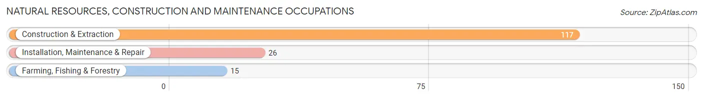 Natural Resources, Construction and Maintenance Occupations in Zip Code 62808