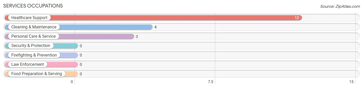 Services Occupations in Zip Code 62809