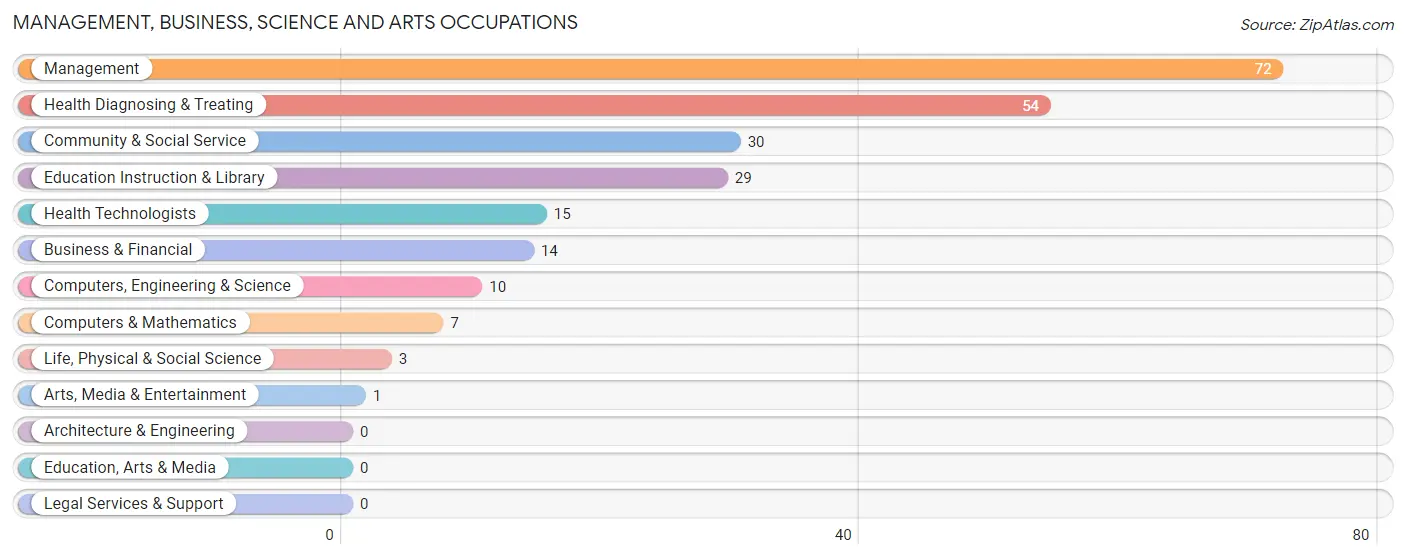 Management, Business, Science and Arts Occupations in Zip Code 62816