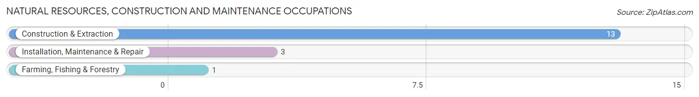 Natural Resources, Construction and Maintenance Occupations in Zip Code 62818