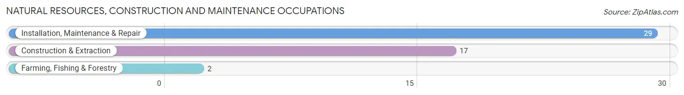 Natural Resources, Construction and Maintenance Occupations in Zip Code 62830