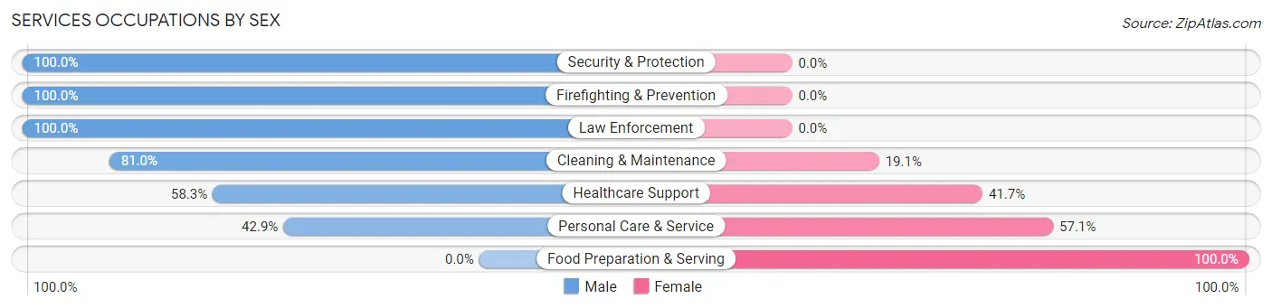 Services Occupations by Sex in Zip Code 62853