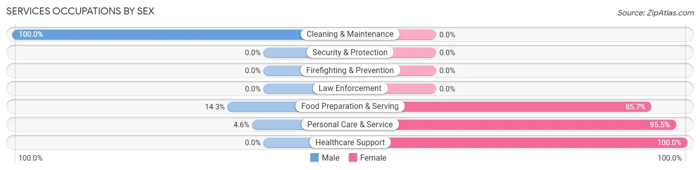Services Occupations by Sex in Zip Code 62854