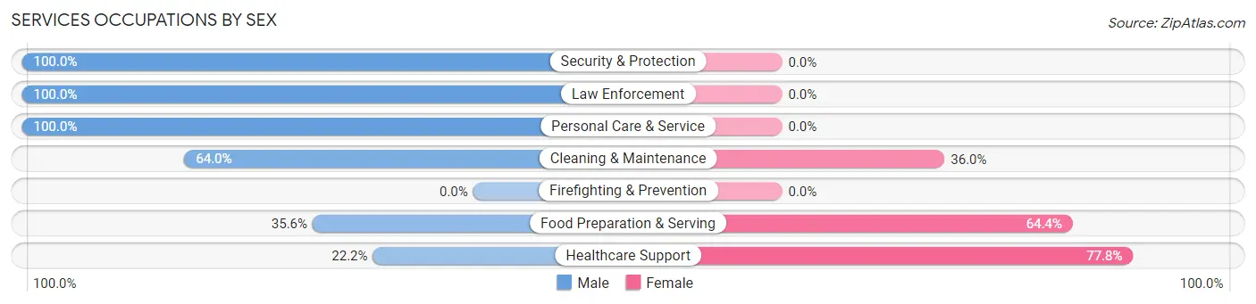 Services Occupations by Sex in Zip Code 62858