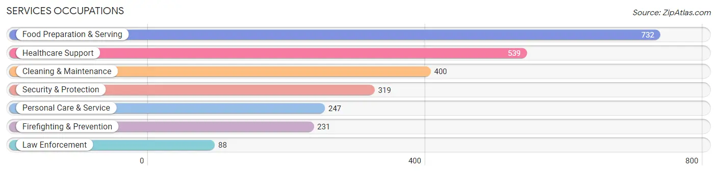 Services Occupations in Zip Code 62864