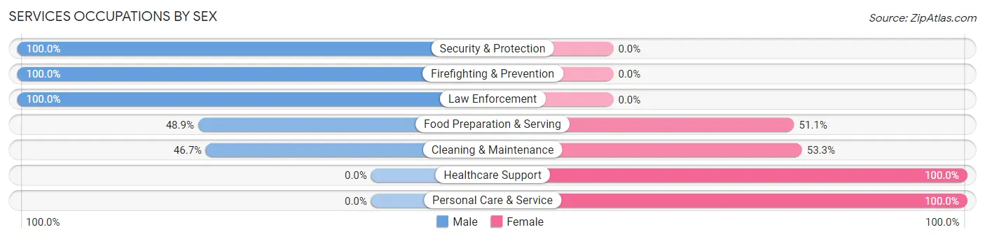 Services Occupations by Sex in Zip Code 62882
