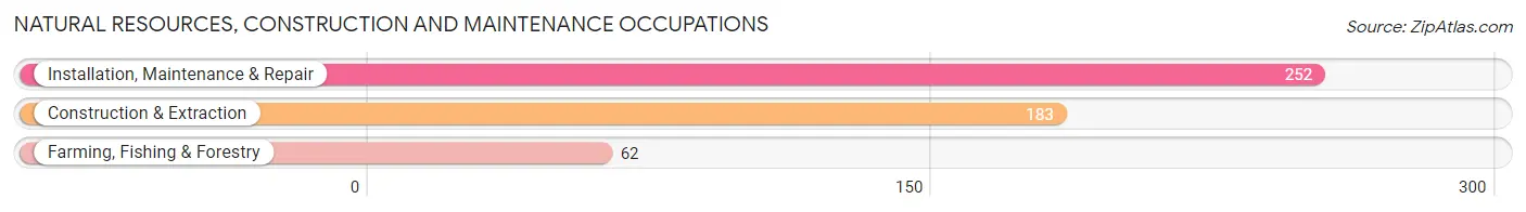 Natural Resources, Construction and Maintenance Occupations in Zip Code 62896