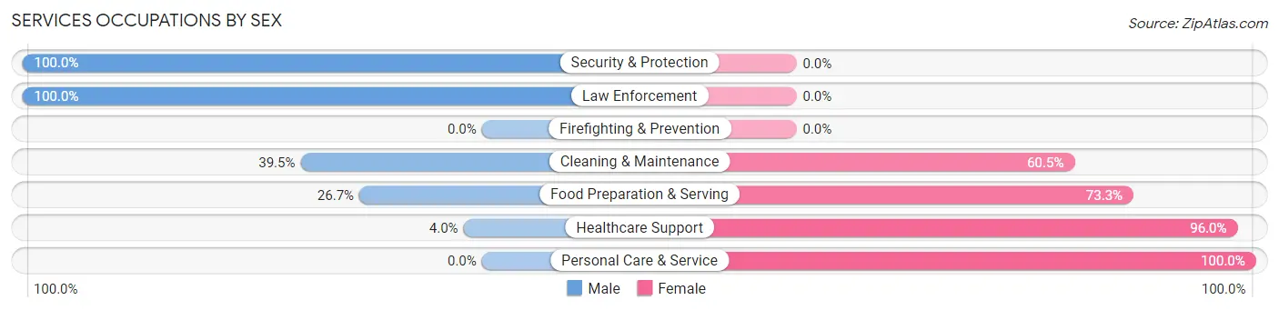 Services Occupations by Sex in Zip Code 62899