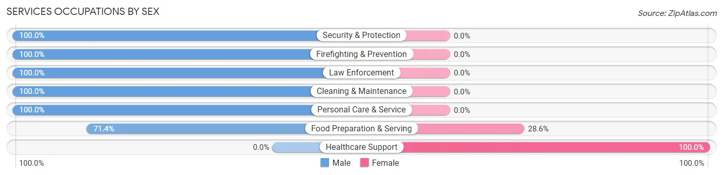 Services Occupations by Sex in Zip Code 62905