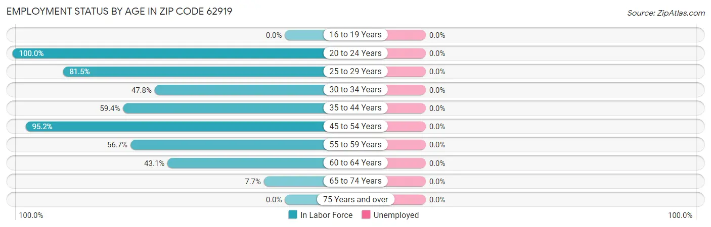 Employment Status by Age in Zip Code 62919