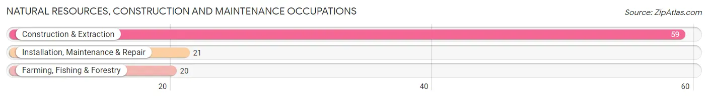 Natural Resources, Construction and Maintenance Occupations in Zip Code 62926