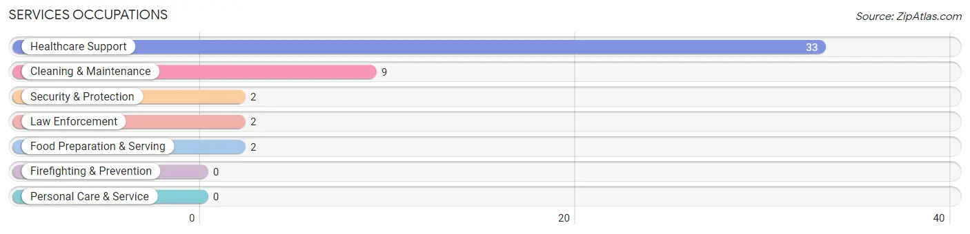 Services Occupations in Zip Code 62942