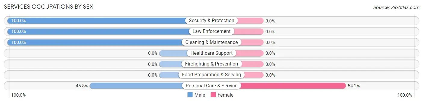 Services Occupations by Sex in Zip Code 62943
