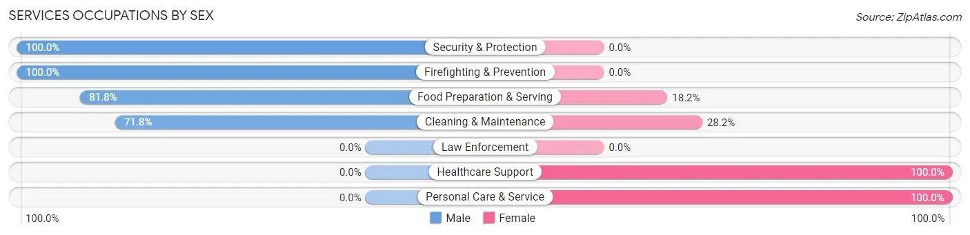 Services Occupations by Sex in Zip Code 62949