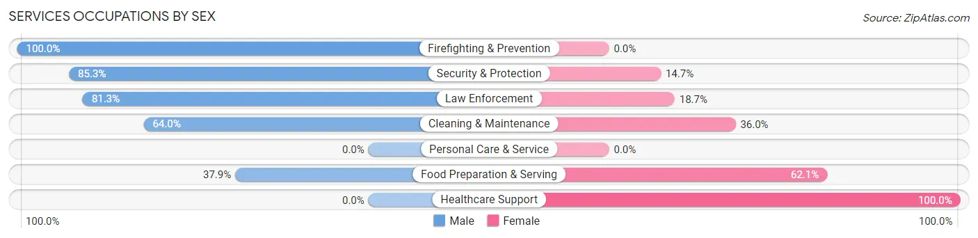 Services Occupations by Sex in Zip Code 62951