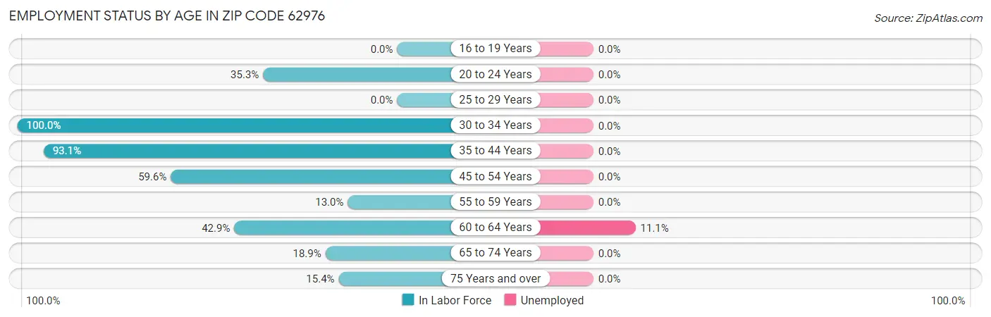 Employment Status by Age in Zip Code 62976