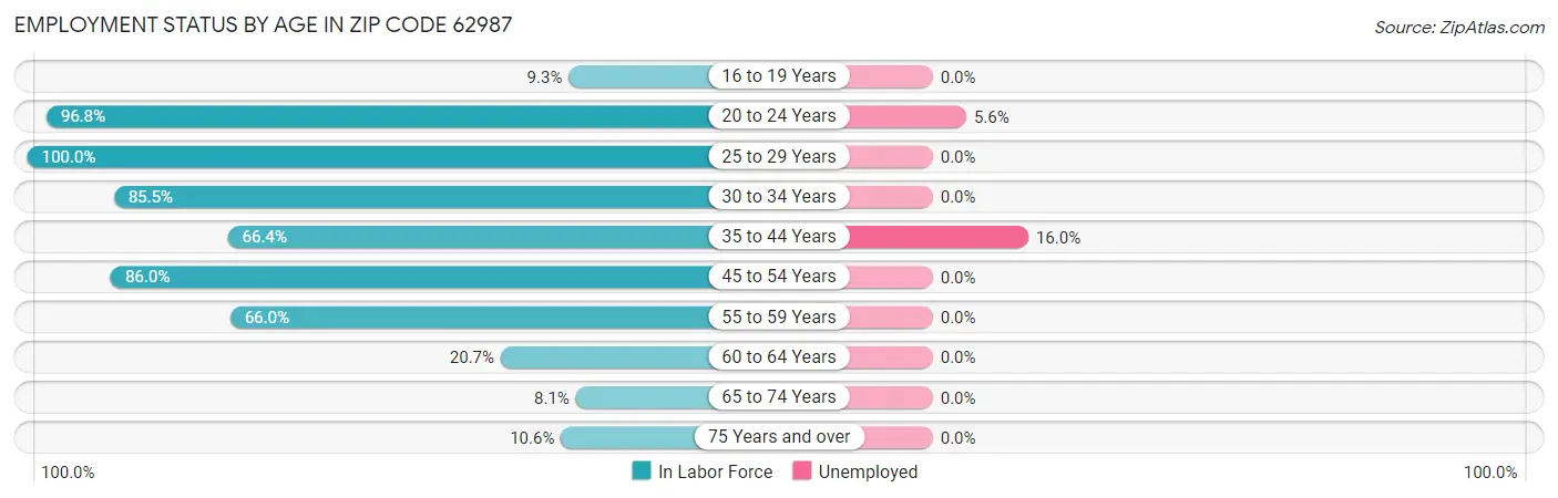 Employment Status by Age in Zip Code 62987