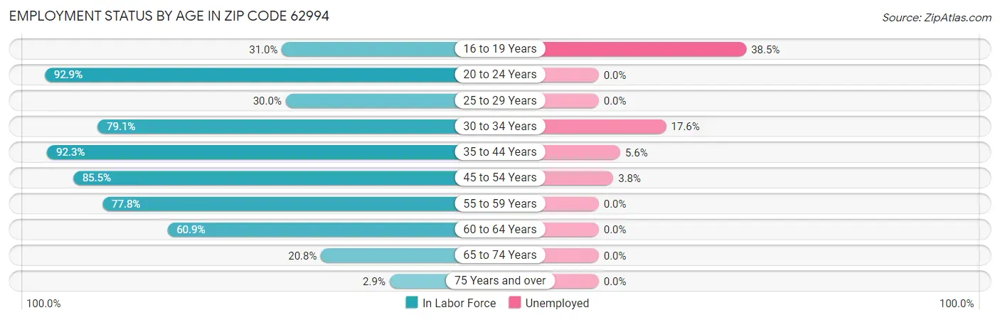 Employment Status by Age in Zip Code 62994