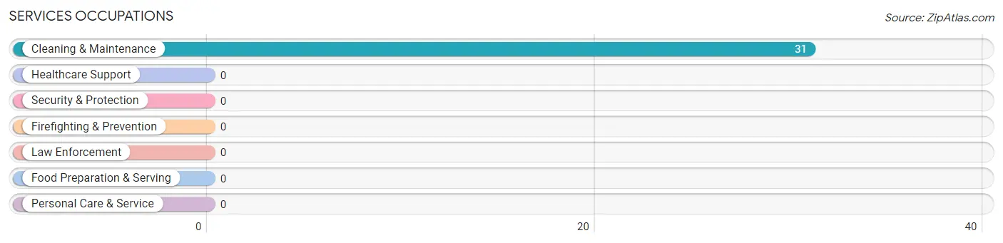 Services Occupations in Zip Code 62996