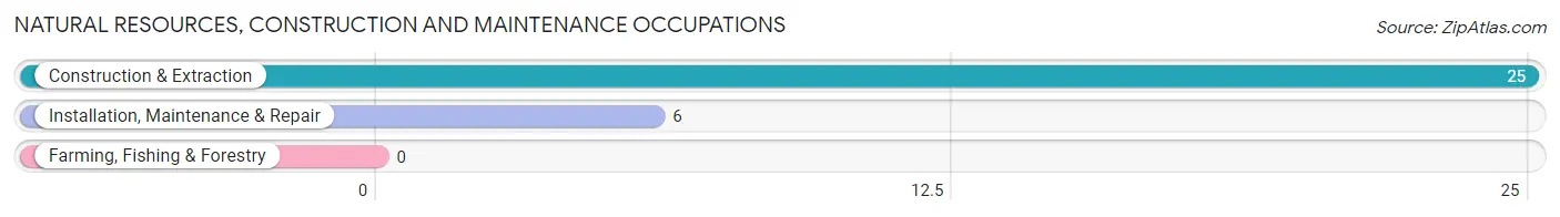 Natural Resources, Construction and Maintenance Occupations in Zip Code 62997