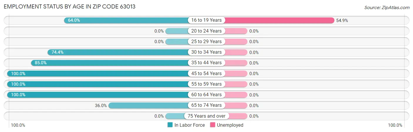 Employment Status by Age in Zip Code 63013