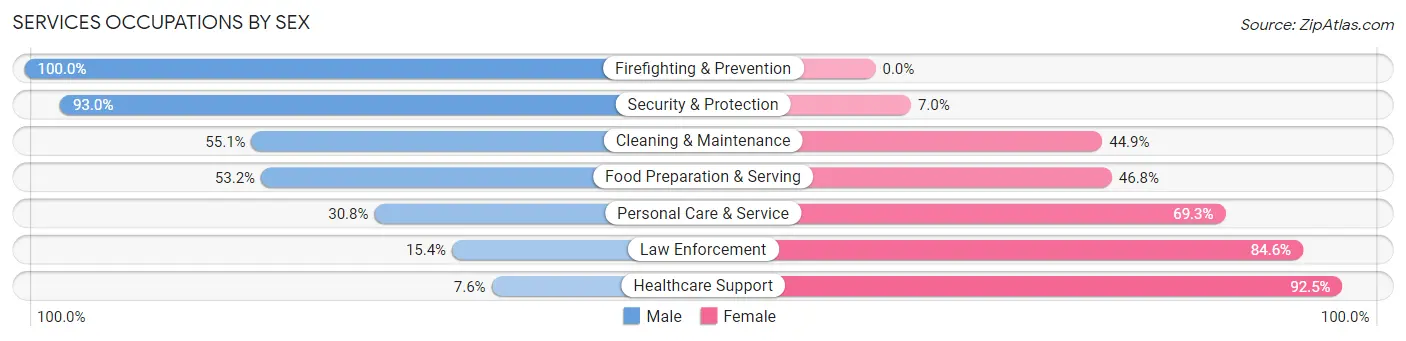 Services Occupations by Sex in Zip Code 63042