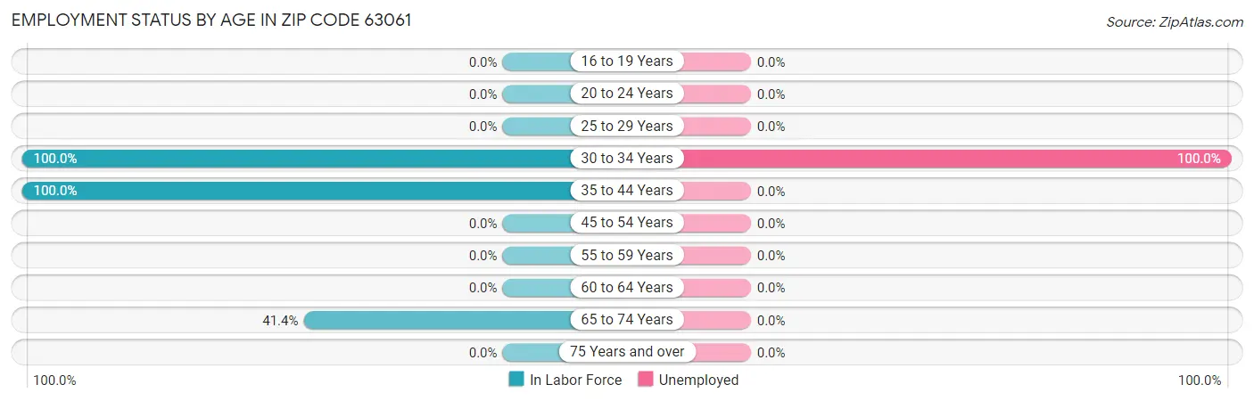 Employment Status by Age in Zip Code 63061