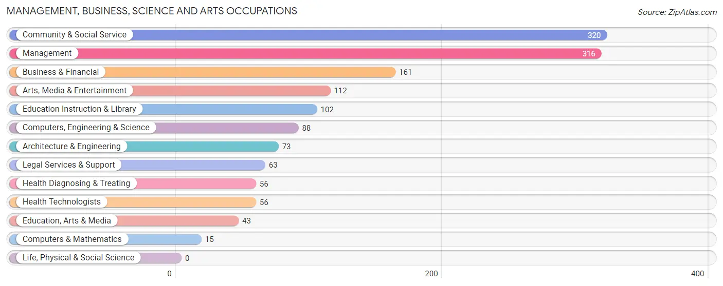 Management, Business, Science and Arts Occupations in Zip Code 63070