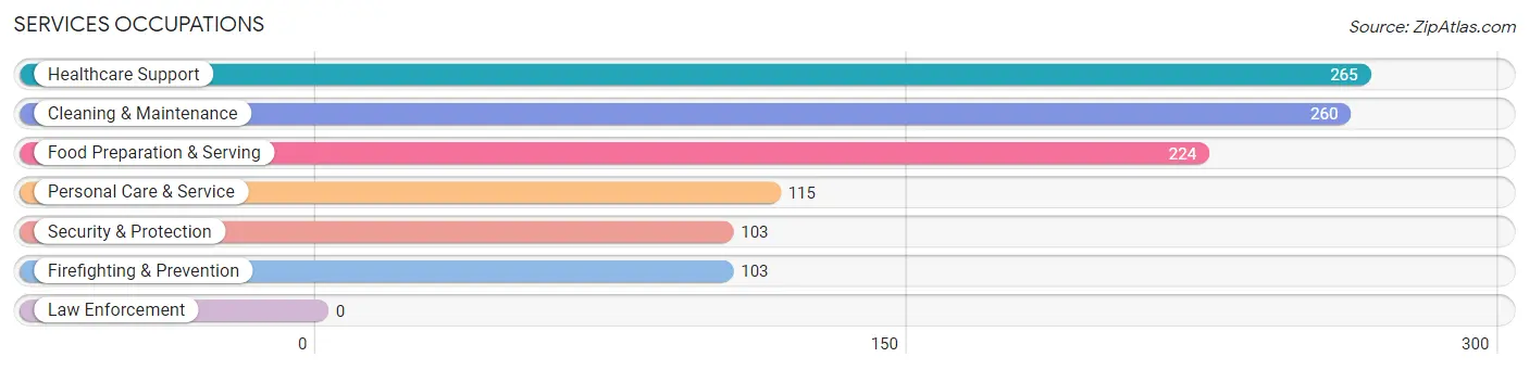 Services Occupations in Zip Code 63070