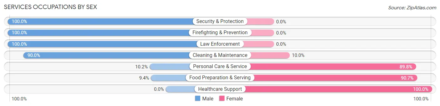 Services Occupations by Sex in Zip Code 63072