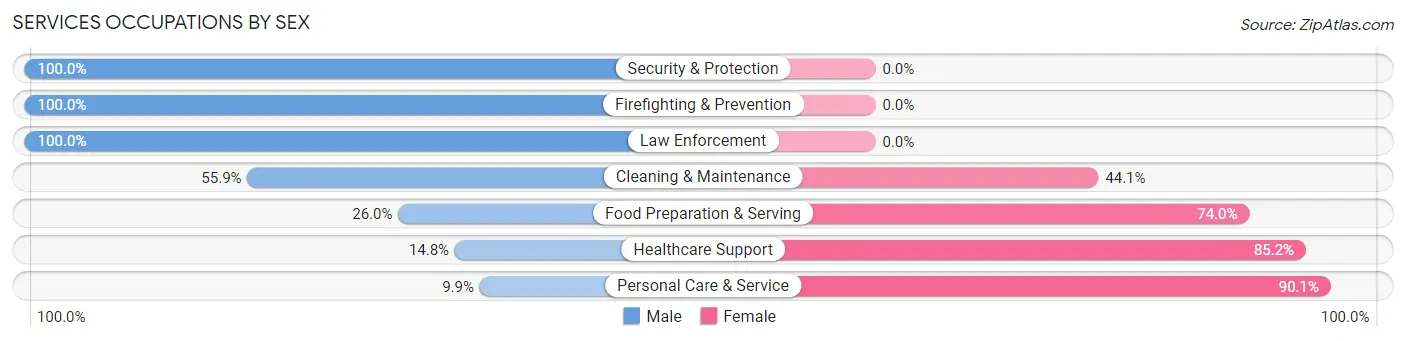 Services Occupations by Sex in Zip Code 63080