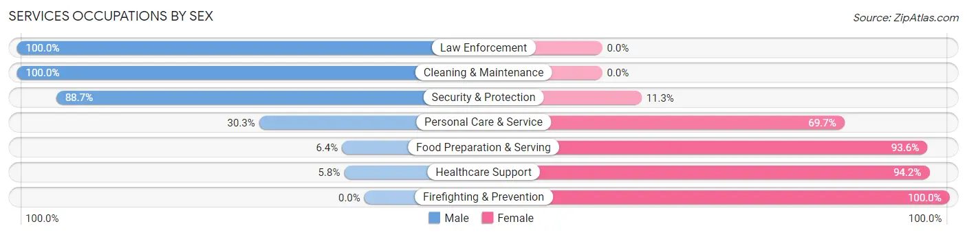 Services Occupations by Sex in Zip Code 63089