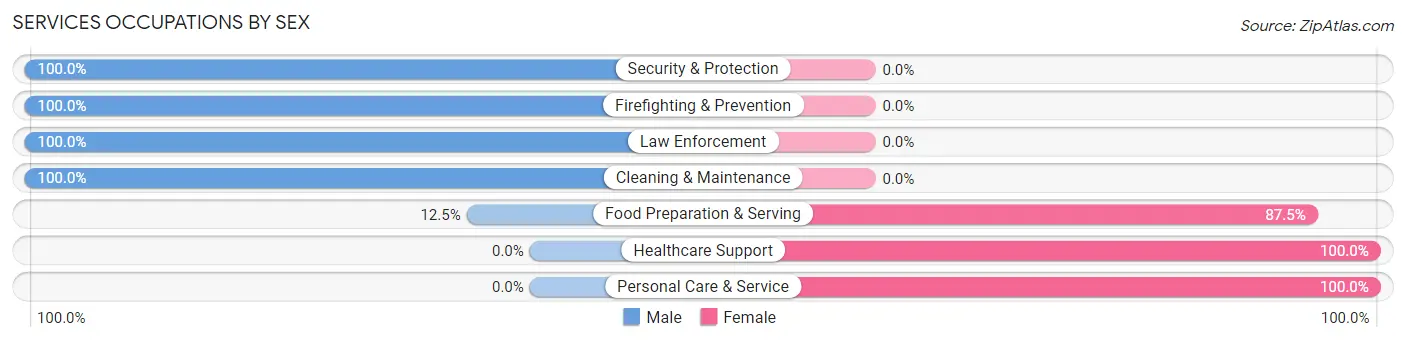 Services Occupations by Sex in Zip Code 63091
