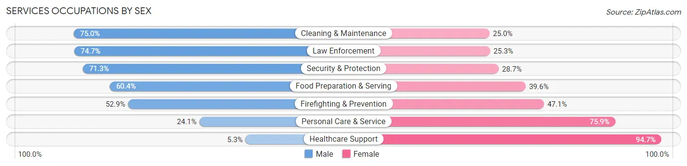 Services Occupations by Sex in Zip Code 63105