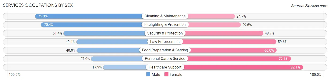 Services Occupations by Sex in Zip Code 63107