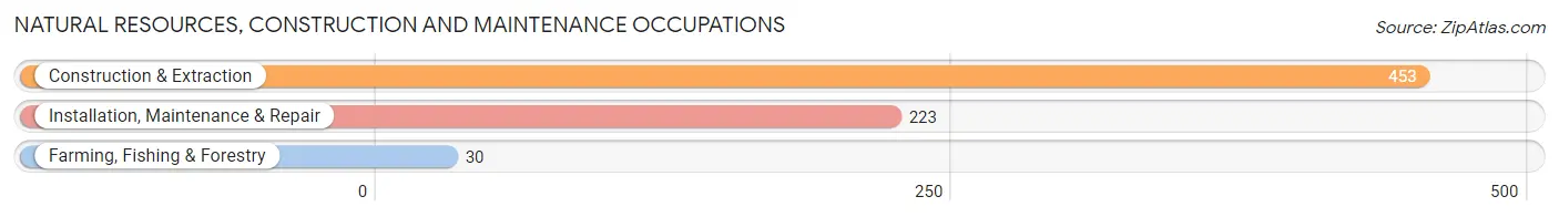 Natural Resources, Construction and Maintenance Occupations in Zip Code 63111