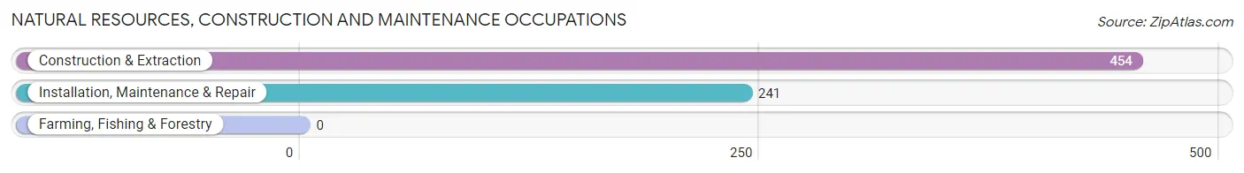 Natural Resources, Construction and Maintenance Occupations in Zip Code 63121