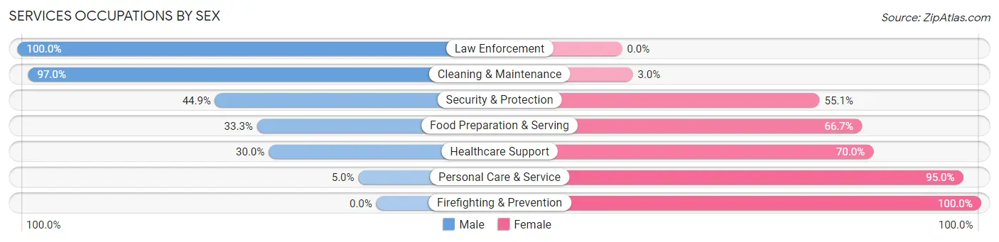 Services Occupations by Sex in Zip Code 63132