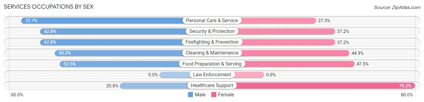 Services Occupations by Sex in Zip Code 63133