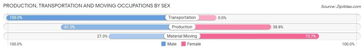 Production, Transportation and Moving Occupations by Sex in Zip Code 63333
