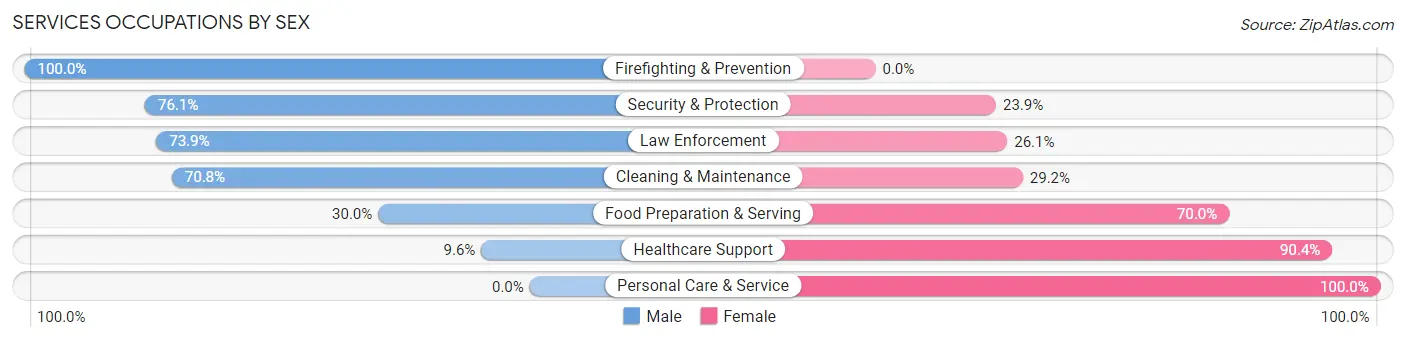 Services Occupations by Sex in Zip Code 63334