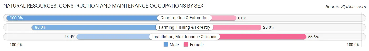 Natural Resources, Construction and Maintenance Occupations by Sex in Zip Code 63336