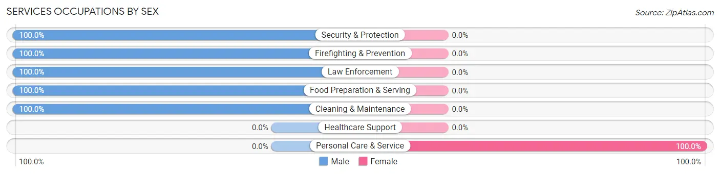 Services Occupations by Sex in Zip Code 63341