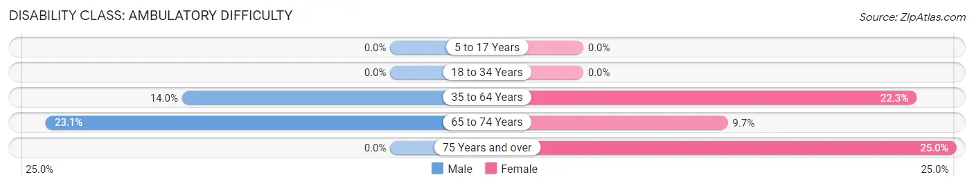 Disability in Zip Code 63345: <span>Ambulatory Difficulty</span>