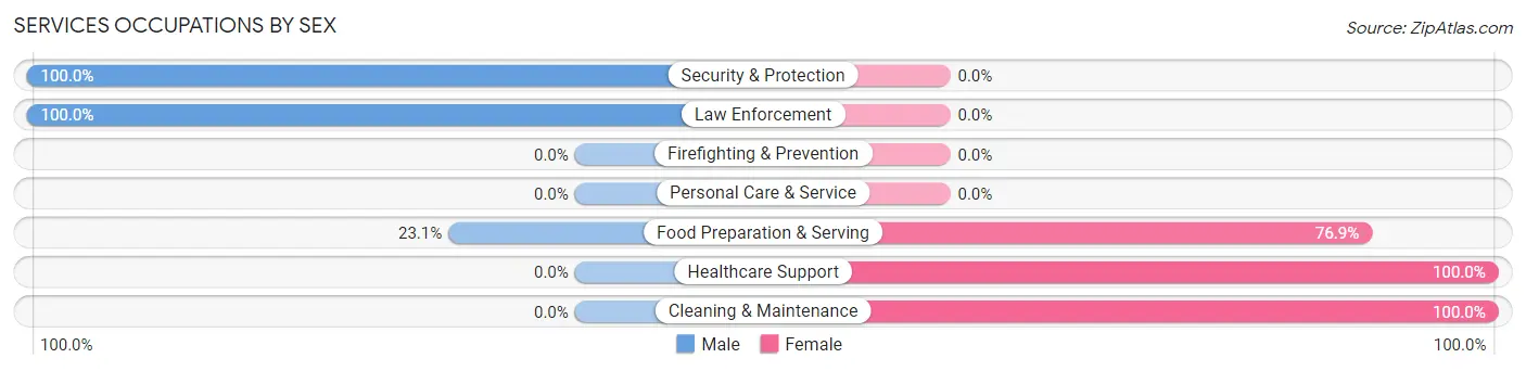 Services Occupations by Sex in Zip Code 63350
