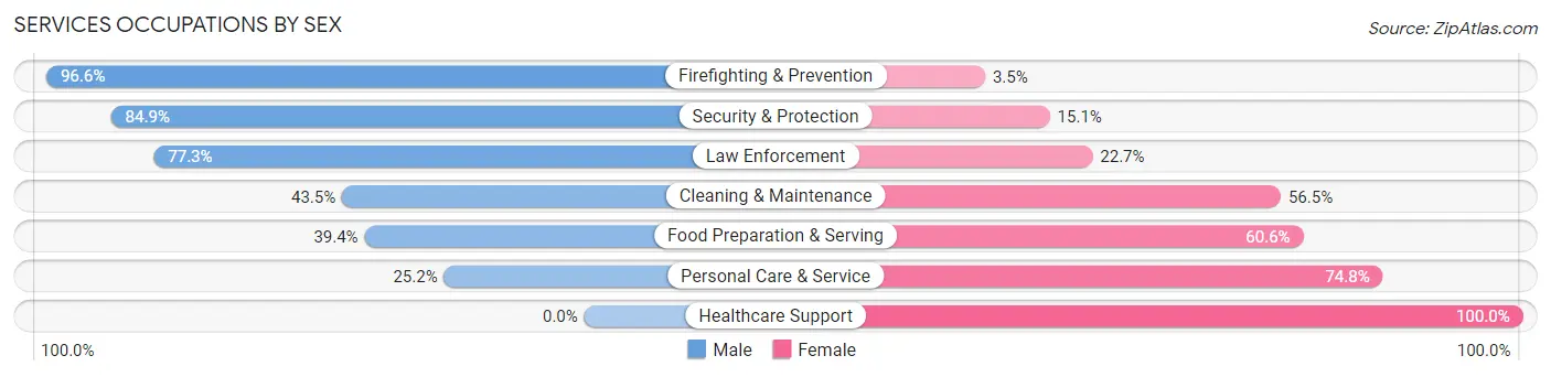 Services Occupations by Sex in Zip Code 63362