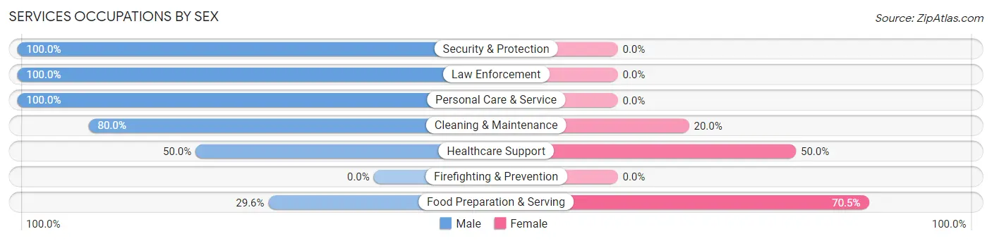 Services Occupations by Sex in Zip Code 63363