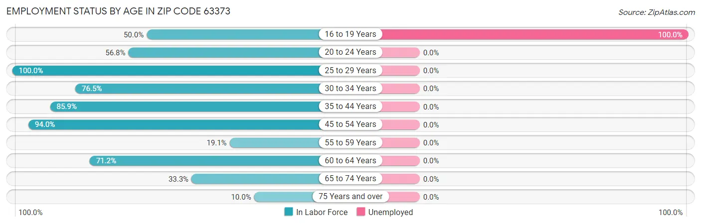 Employment Status by Age in Zip Code 63373