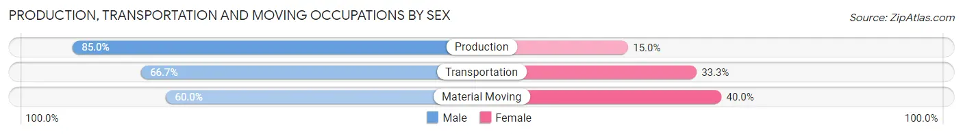 Production, Transportation and Moving Occupations by Sex in Zip Code 63373