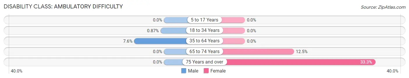 Disability in Zip Code 63381: <span>Ambulatory Difficulty</span>